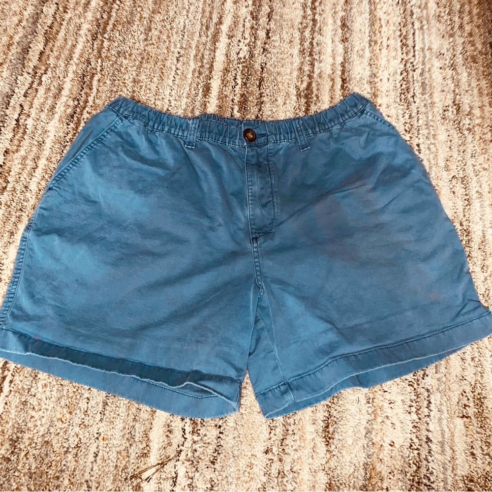 Chubbies Teal Flat Front Shorts (2)
